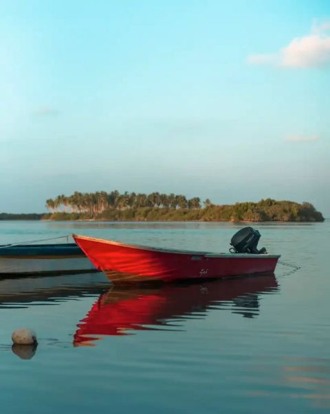 Red motorboat on calm water in front of a small island