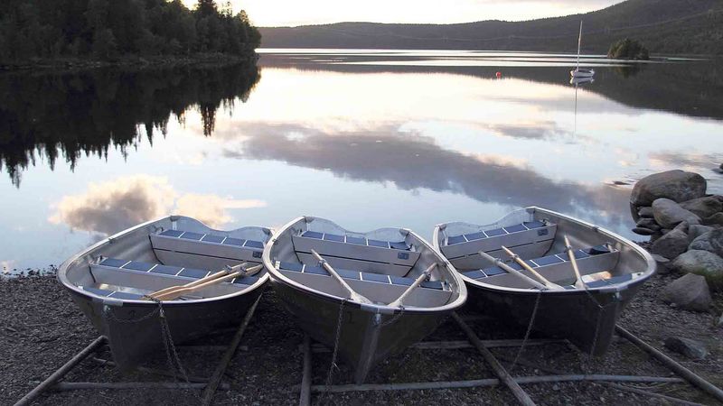 Three rowing boats for self-service rental on the shore of a calm lake